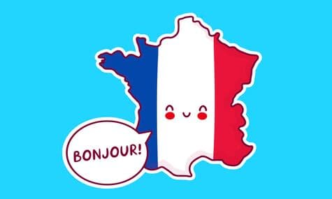 Online French Courses by FSM Buddy for kids and adults
