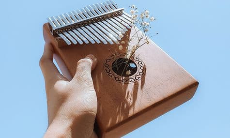 Learn Western Songs On Kalimba | FSM Buddy