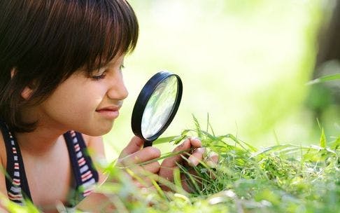 Advantages of learning in nature for kids