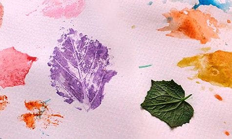 Online art classes to learn art of leaf stamping