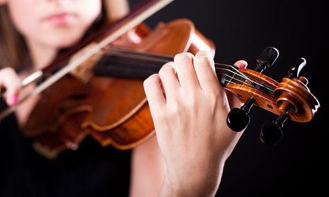 Violin Beginner Course - SOLO | FSM Buddy